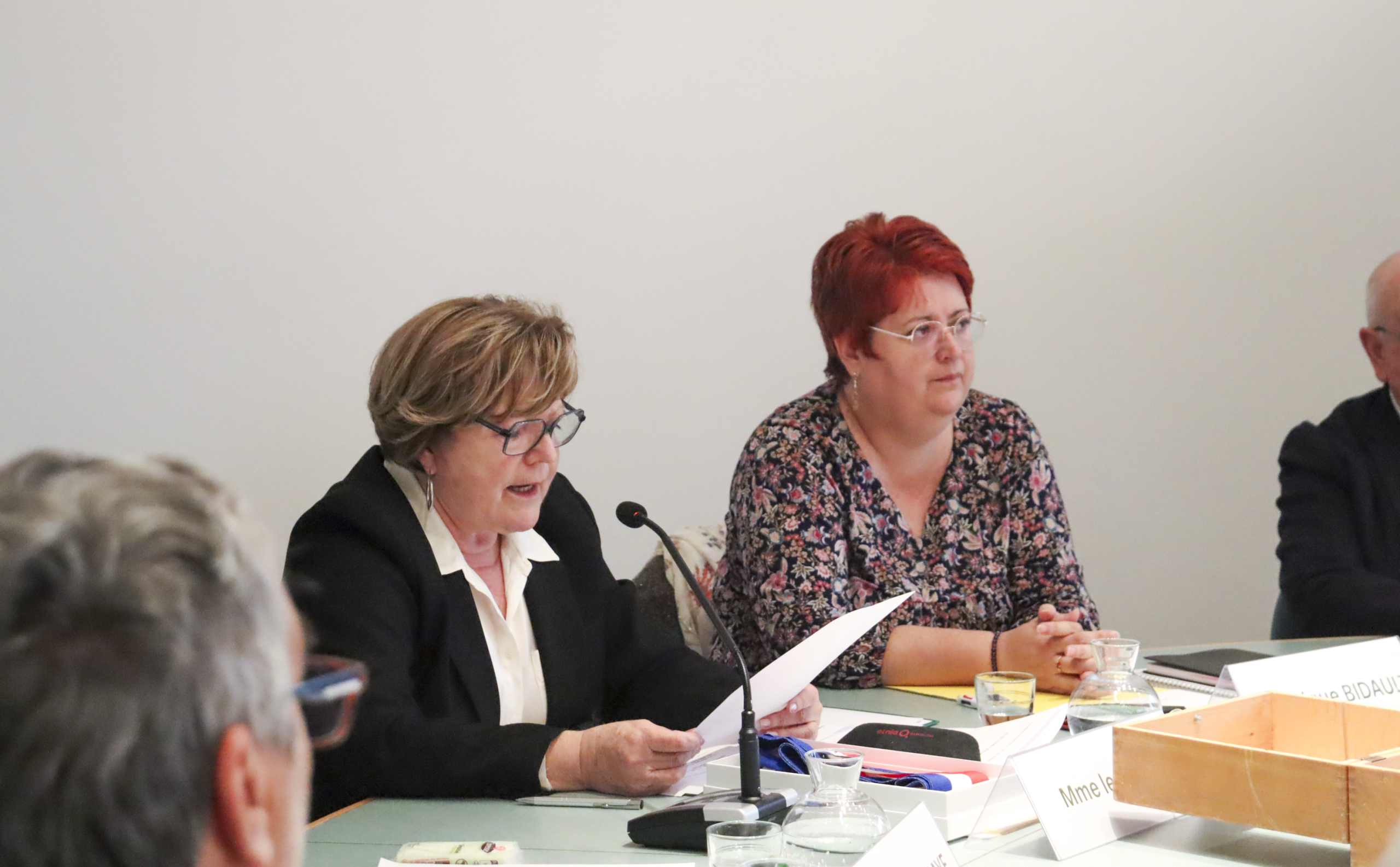 Délibérations des conseils municipaux