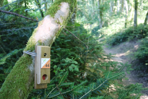 Parcours_orientation_niffond